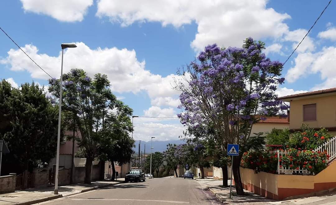 Samassi, due decessi in paese a causa delle conseguenze legate alla pandemia