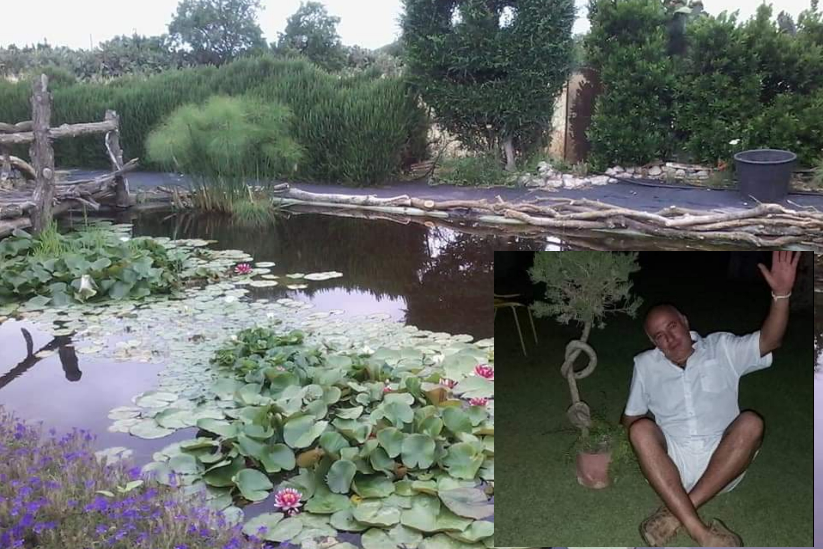 Monserrato, lo sfogo di Antonello: “Sardegna zona arancione, andare per vivai non è consentito”