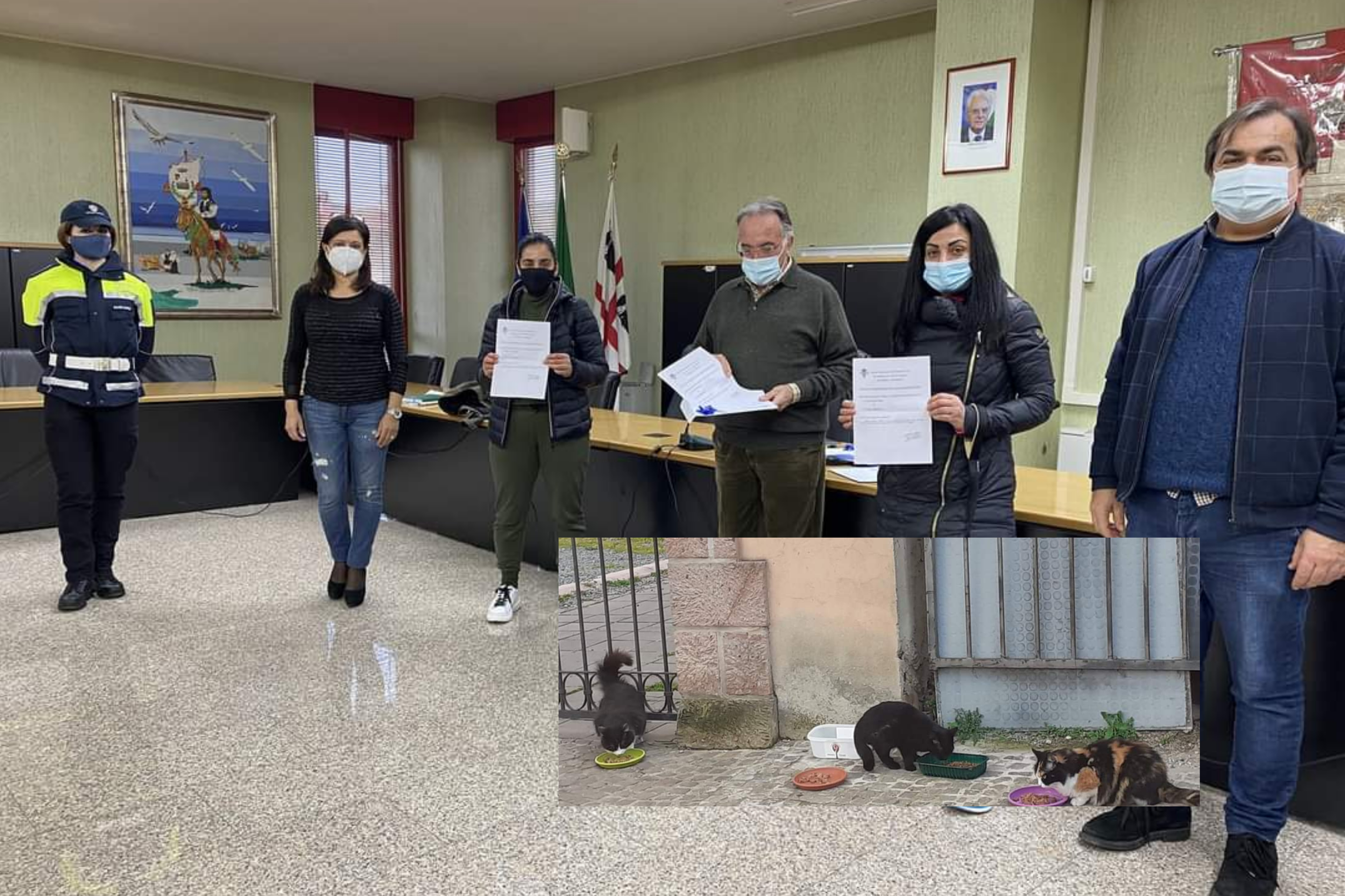 Pula, sterilizzazioni gratuite per i gatti randagi e oasi rifugio per cani