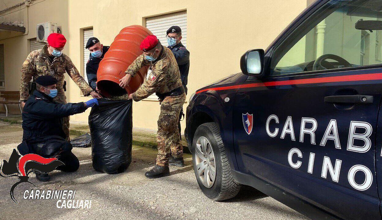 Sanluri, fuga rocambolesca per sfuggire ai carabinieri: in auto mezzo kg di droga, in casa 10 kg di marijuana