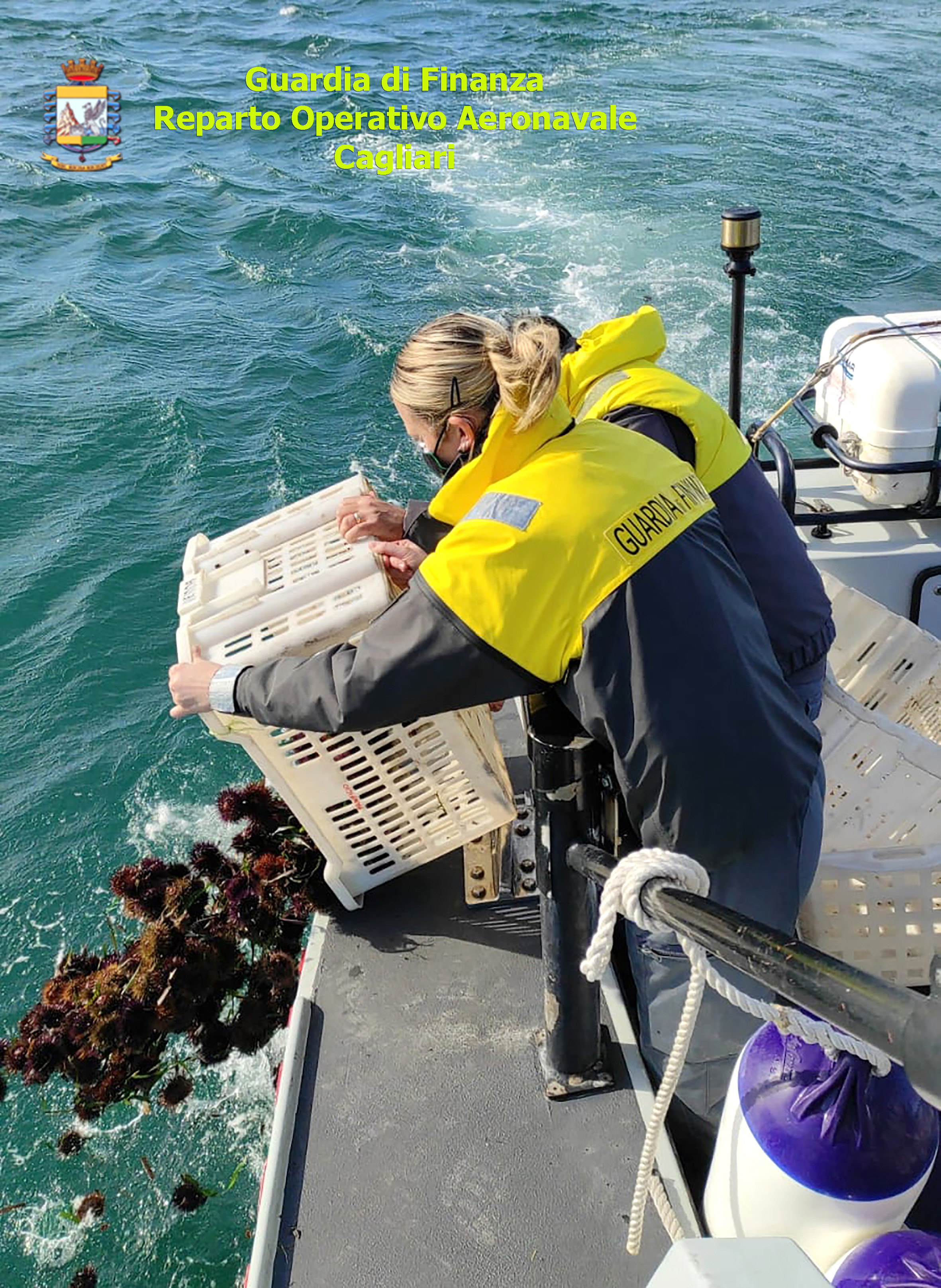 Cagliari, la Guardia di Finanza sequestra oltre 3000 ricci di mare messi in vendita da pescatori abusivi