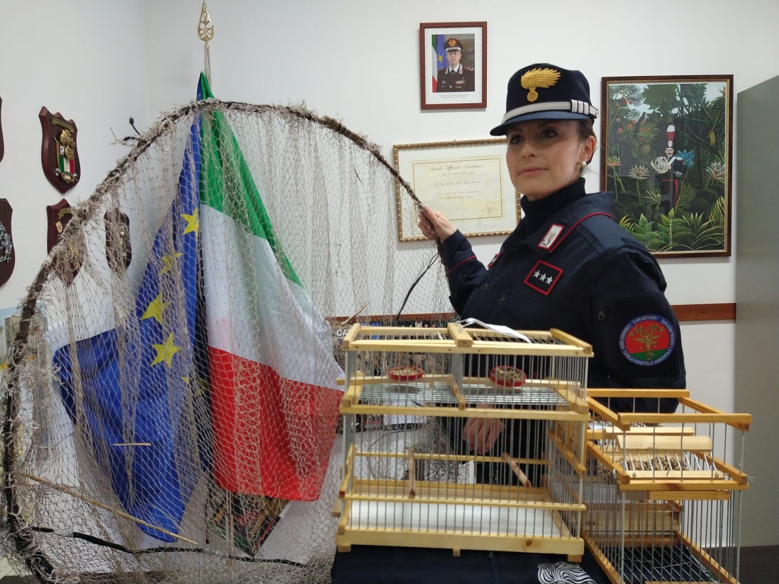 Sardegna, l’allarme: “Cardellini catturati e dopati per le gare di canto, è illegale”