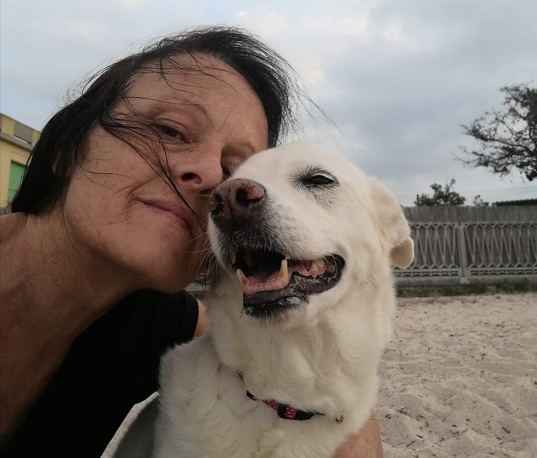 Randagi nel mirino a Quartucciu, i volontari a Radio Casteddu: “Uno avvelenato, un altro allontanato a fucilate”