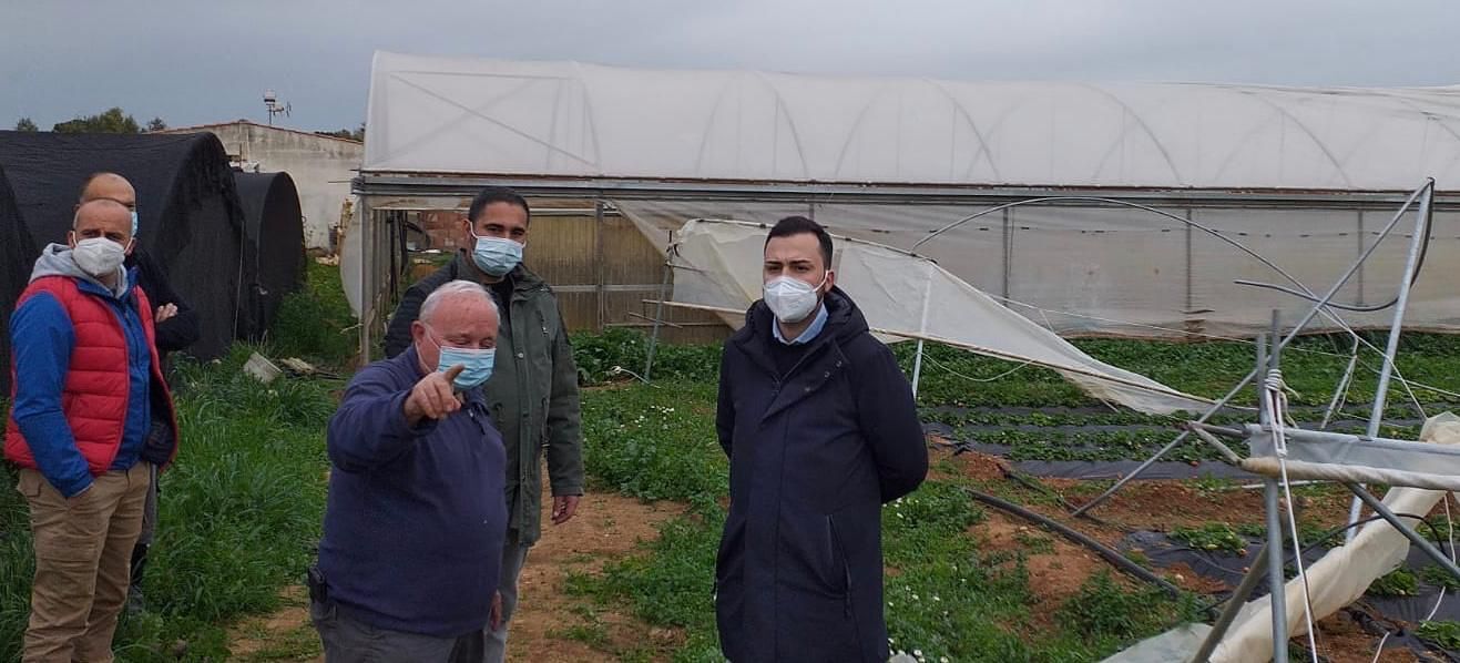 Sestu, aziende agricole travolte dalla tromba d’aria: “Danni per 100 mila euro”