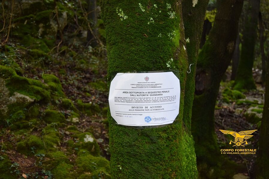 Fluminimaggiore, si impossessano di un borgo minerario e di un bosco: denunciati