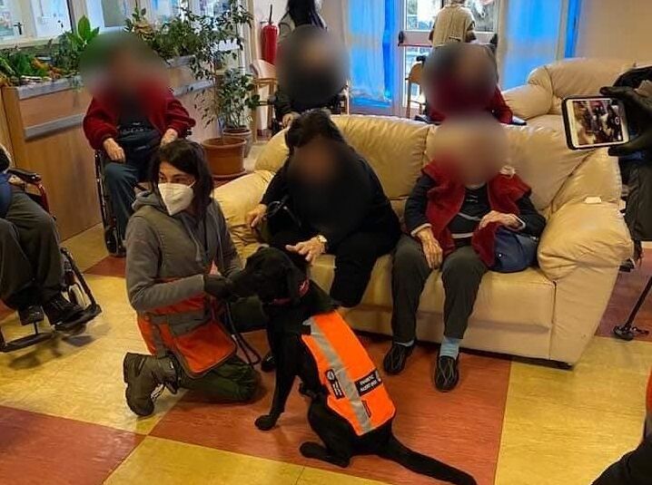 Cagliari, test nella casa di riposo: il cane individua i positivi al Covid