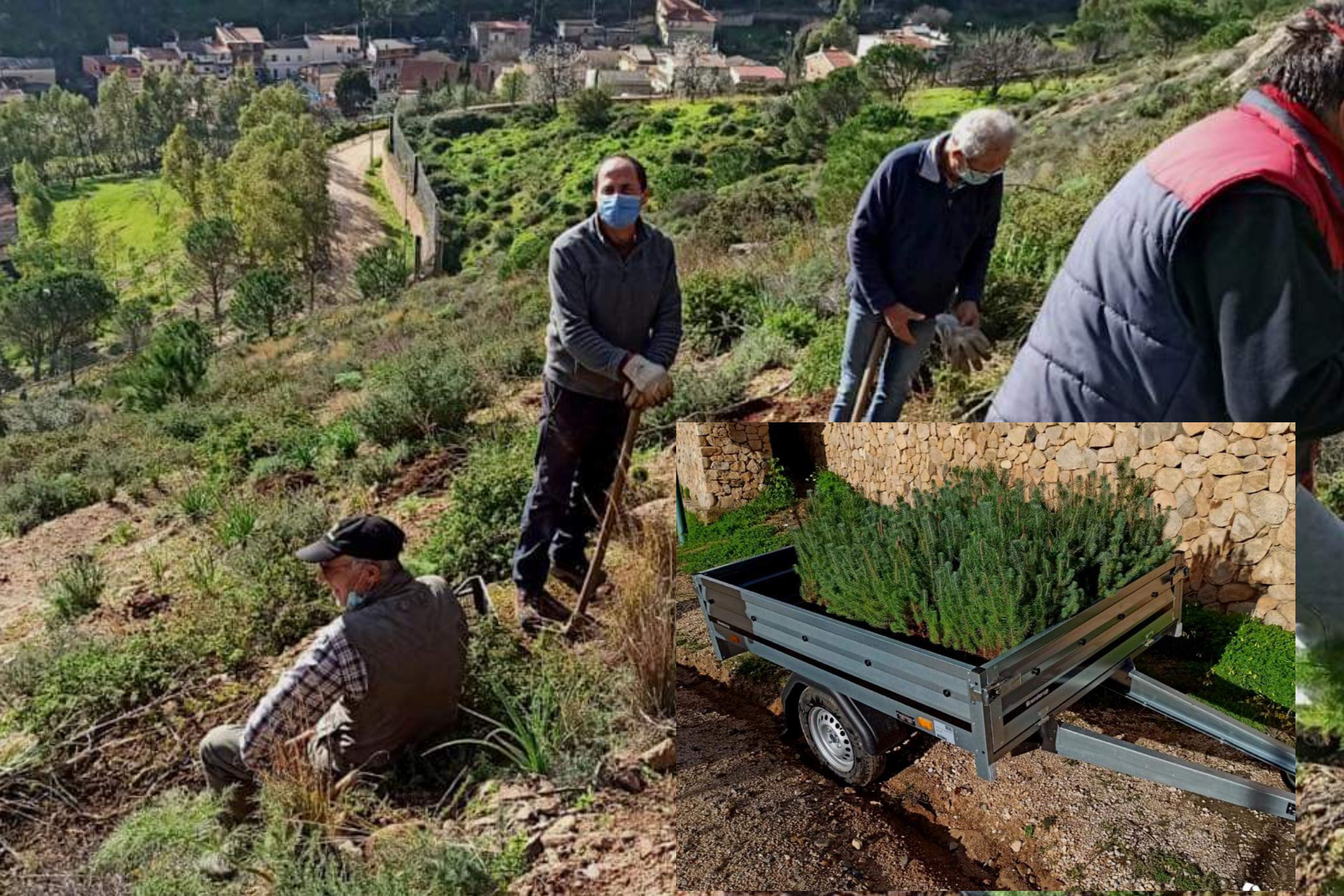Villacidro, 220 nuovi alberi per ridare vita alla montagna devastata dagli incendi