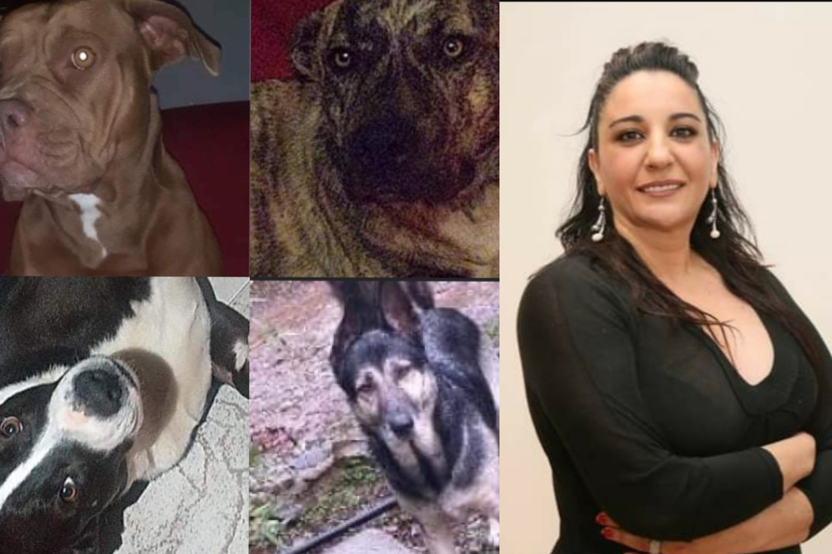 Letizia Atzeni di Sestu a Radio Casteddu: “I miei cani avvelenati col lumachicida. Aiutatemi”