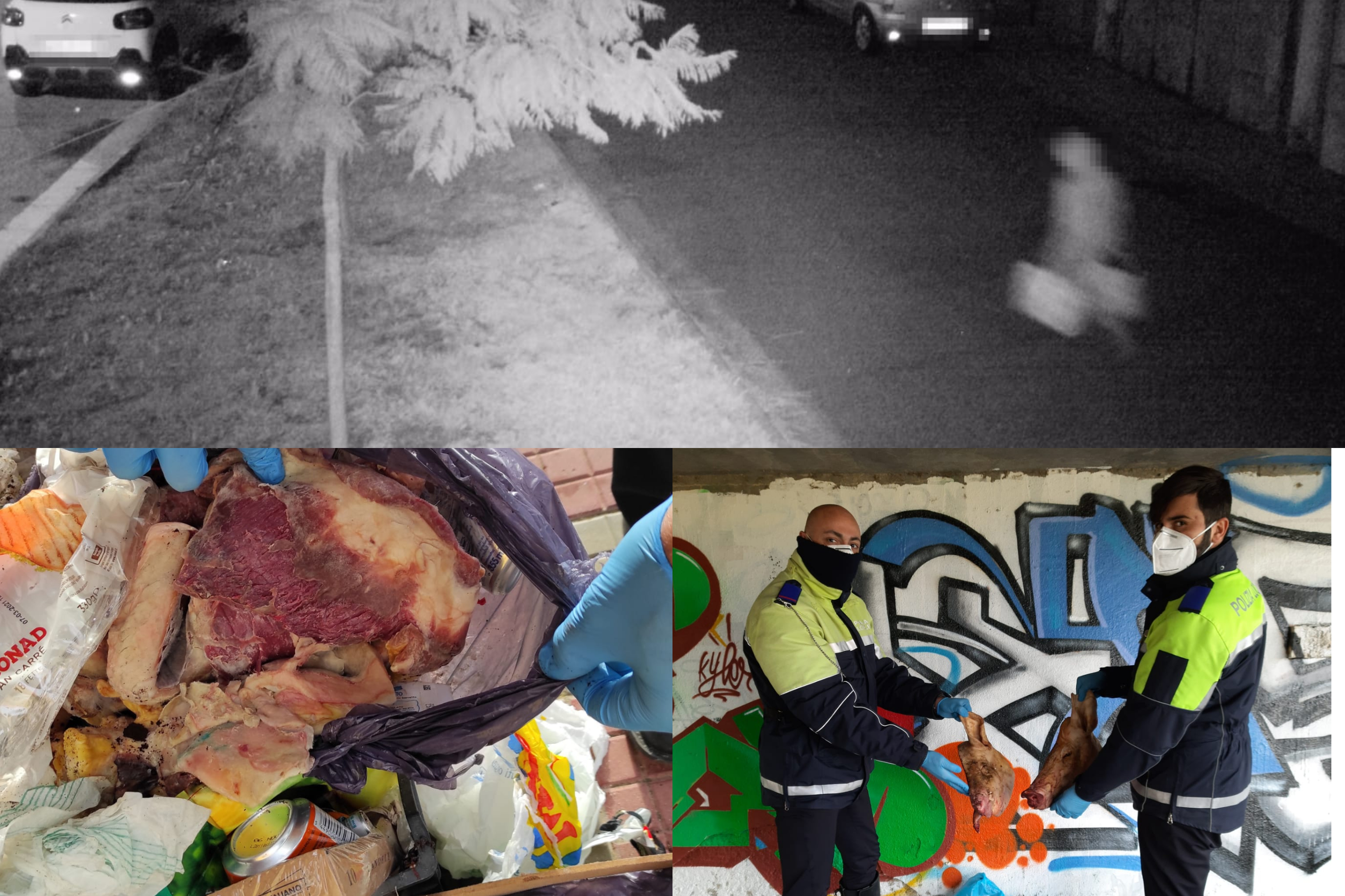 Ha abbandonato in giro 300 kg di ossa di maiale: 4 mila euro di multa al “cafone” di Monserrato