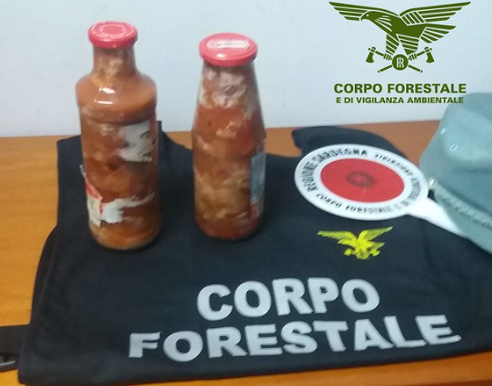 Lotta al traffico illegale di polpa di ricci nel Cagliaritano: multe per 70 mila euro