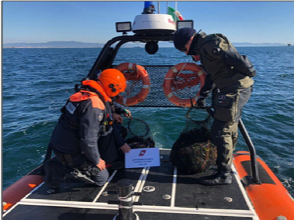 Sarroch, pesca 500 ricci nel mare davanti alla Saras: sub beccato e multato