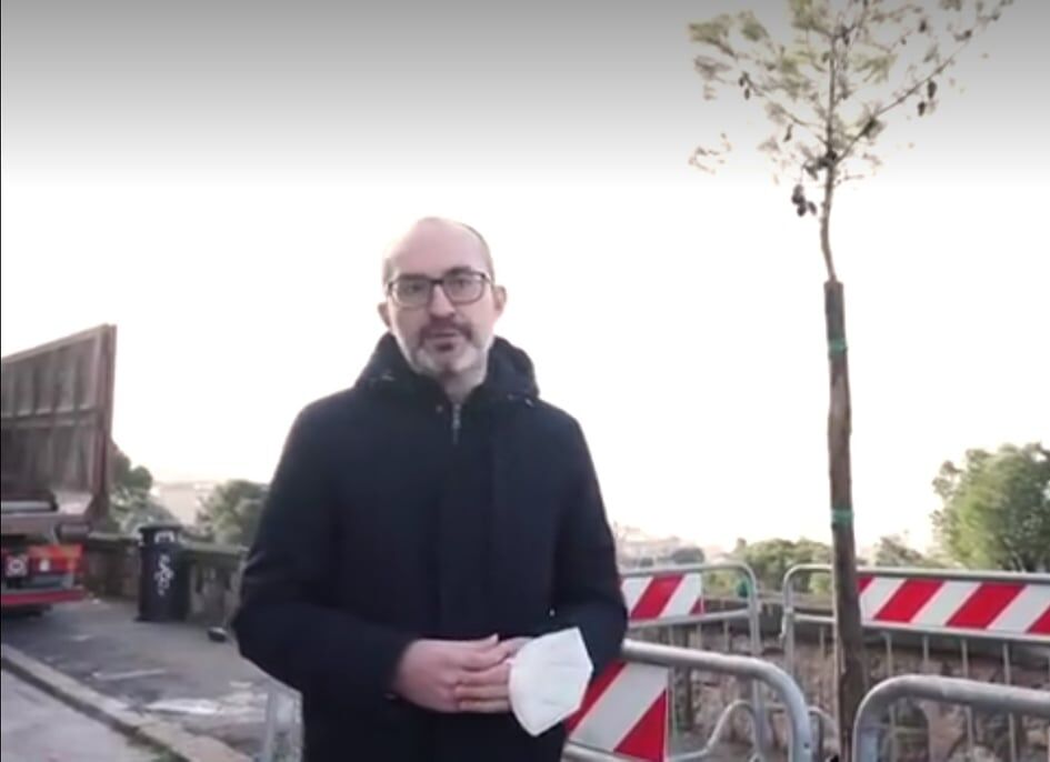 Cagliari, i pini risorgono accanto a viale Buoncammino: “Dieci nuovi al posto di quelli abbattuti nonostante la cagnara”