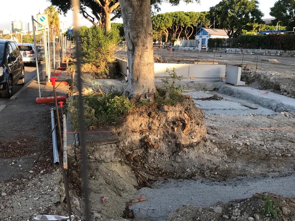 Verde pubblico a Cagliari, il Grig: “L’amministrazione comunale cambia atteggiamento”