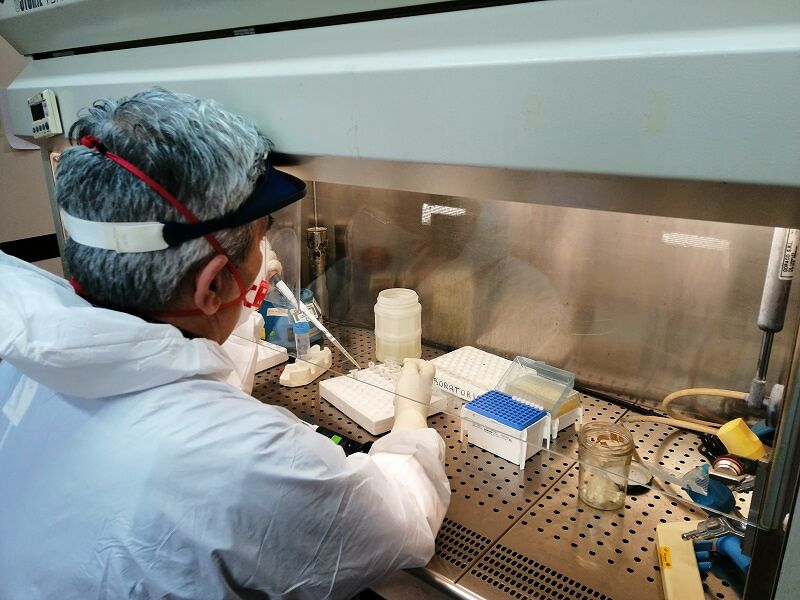 Coronavirus, confermata la presenza in Sardegna anche della variante brasiliana