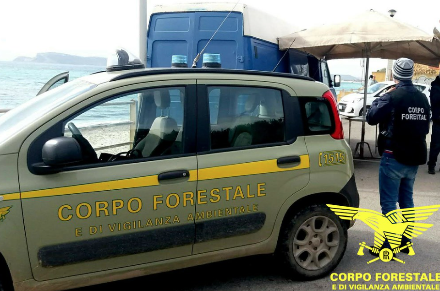 Stop al bracconaggio in Sardegna: controlli a tappeto a Villasimius, Capoterra e Gutturu Mannu