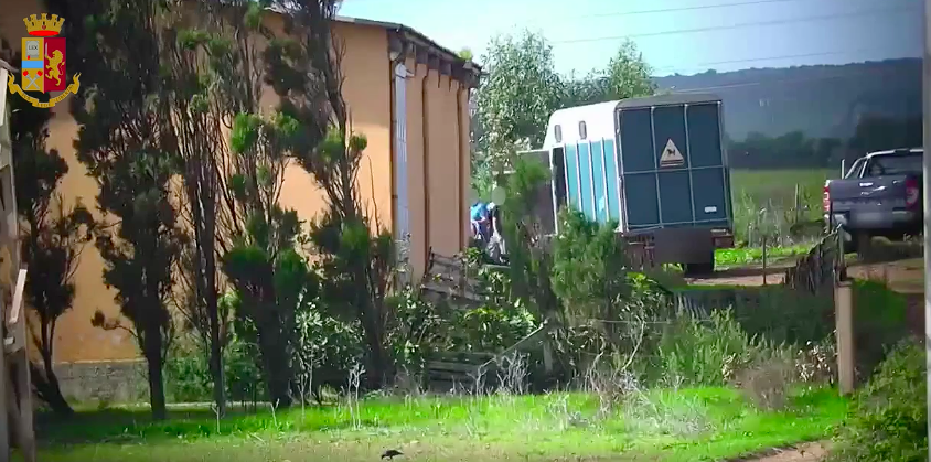 Rapine ai portavalori in Sardegna, 13 arresti: sequestrati kalashnikov e bombe a mano – VIDEO