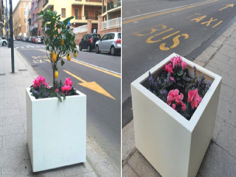 Piante rubate dalle nuove fioriere a Cagliari, Truzzu furioso: “La mamma degli incivili è sempre incinta”