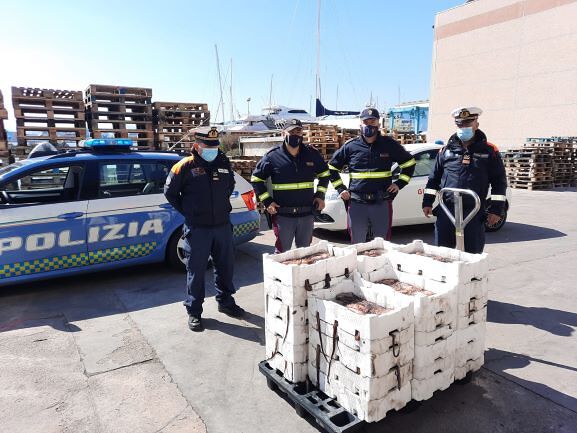 Pesca abusiva di ricci e prodotti ittici non tracciati: sequestrati 150 chili di pescato al porto di Olbia