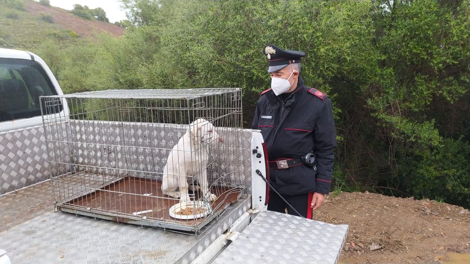 Sardegna, lega un cucciolo di cane con un peso da un chilo al collo: denunciato 67enne