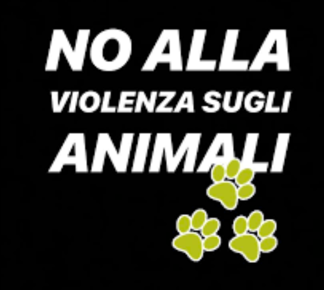 A Radio Zampetta Sarda, Anna Rita Salaris parla di maltrattamento animale: ” Siamo al secondo posto in Italia”
