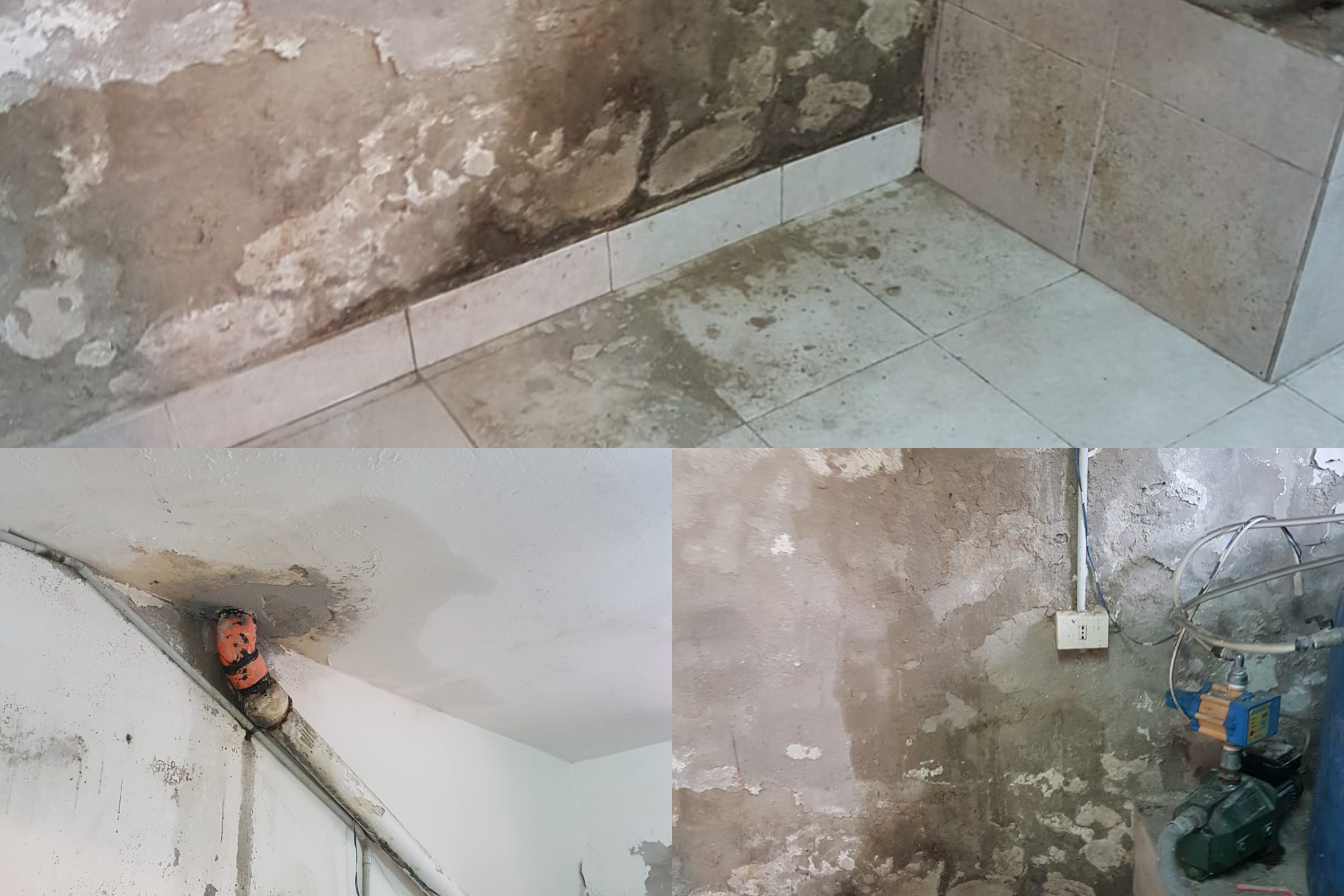 Cagliari, la disperazione di Marcella: “Vivo con la cantina allagata e il Comune non mi aiuta”