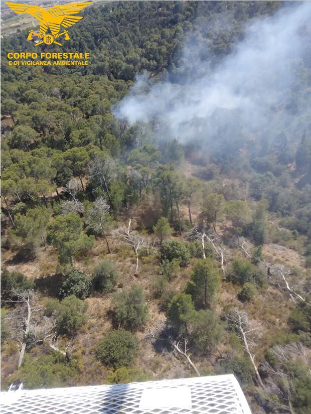 Sinnai, nuovo incendio alla pineta: interviene un elicottero da Pula, bruciati 500 metri quadri di verde