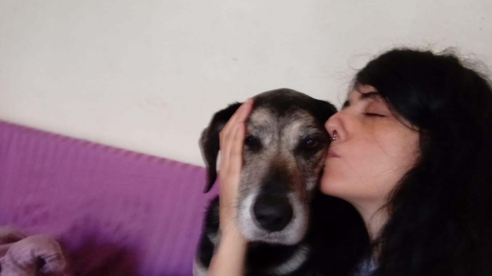 “Zeus, in un mese da 32 a 21 kg, il linfoma me lo sta portando via. Chiedo aiuto anche con una piccola donazione”