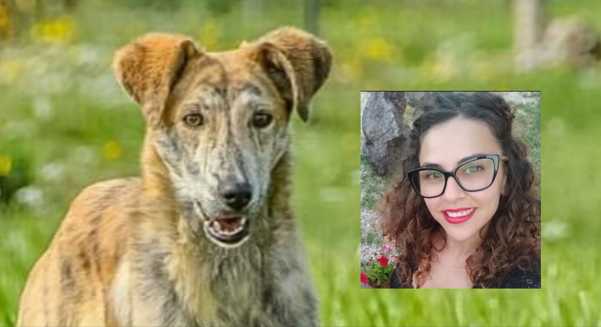 Marzia, la “balia umana” ospite a Radio Zampetta: ecco come allattare un cucciolo di gatto che ha perso la mamma