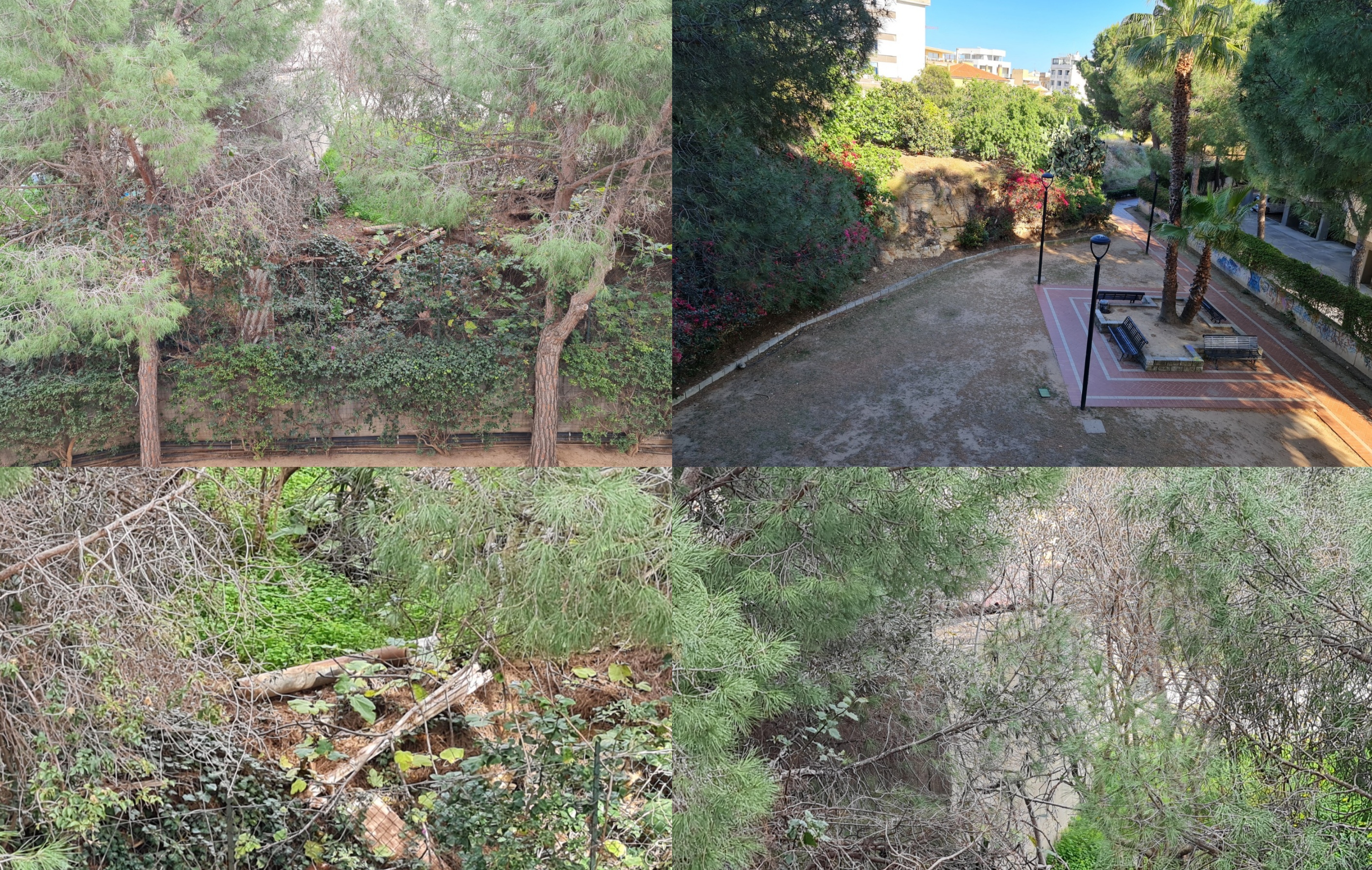 “Un angolo di Cagliari che non si vuole vedere: a 200 metri da Bonaria un’area totalmente abbandonata”