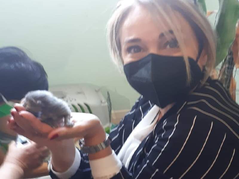 Cagliari, “l’assessora Piroddi cacciata mentre andava a Terramaini dai gattini sbranati”