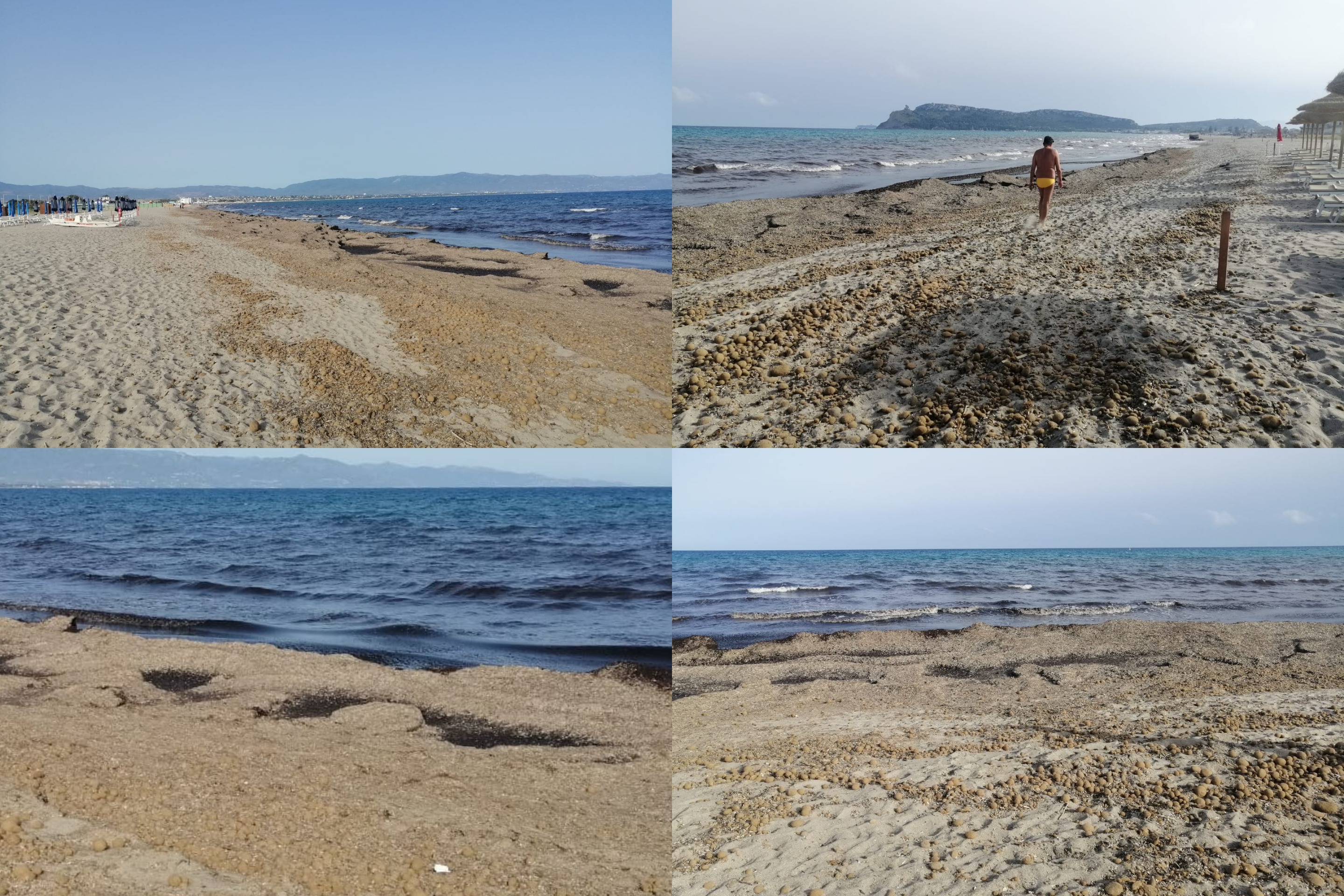 Cagliari, la rabbia di Erica: “Montagne di alghe davanti allo stabilimento, il Comune non vuole pulire”