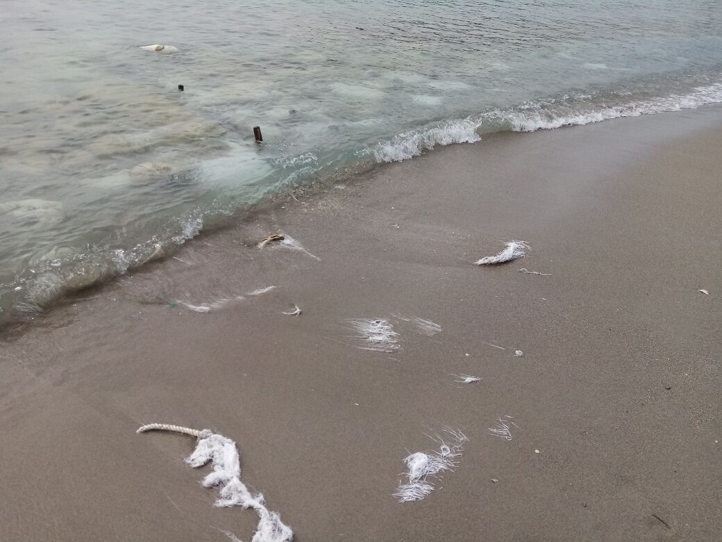 “Subito la bonifica ambientale dai sacchi di nylon della spiaggia del Poetto: inquinano e sono pericolosi”