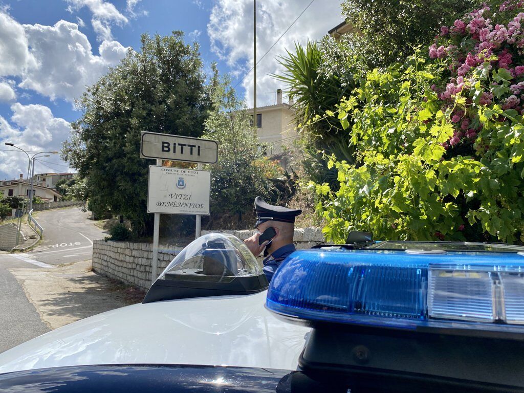 Sardegna, si ferisce tagliando la legna con una roncola: 60enne soccorso dai carabinieri