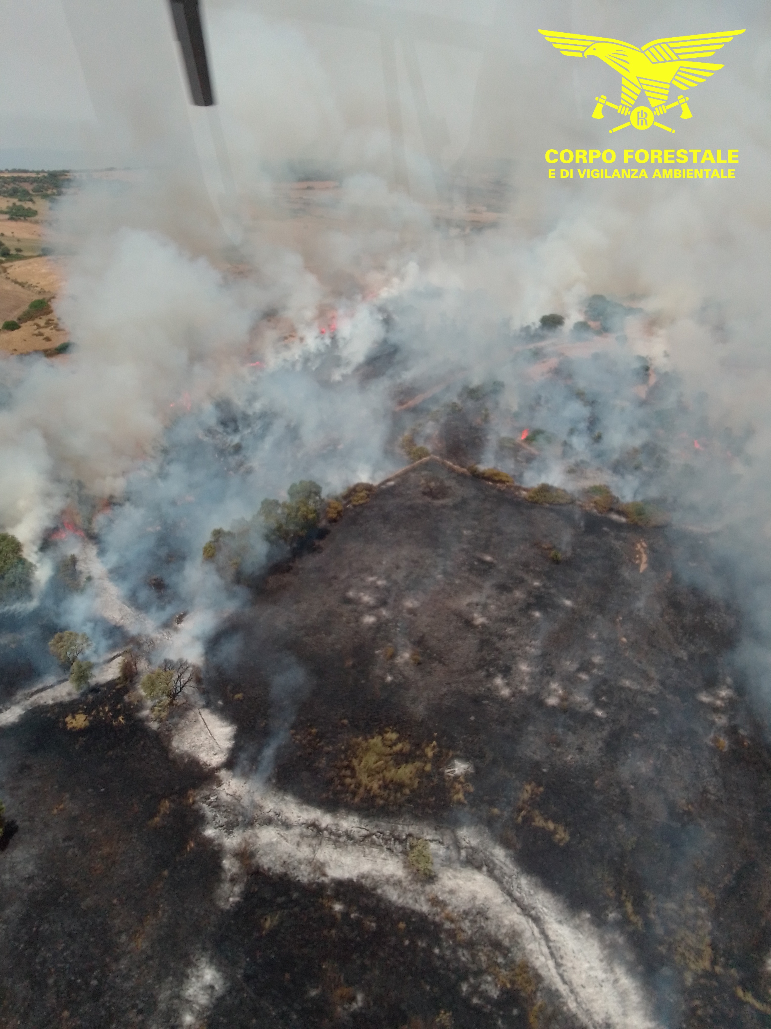 Undici incendi oggi in Sardegna: elicotteri in azione a Ozieri, Usellus e Gergei