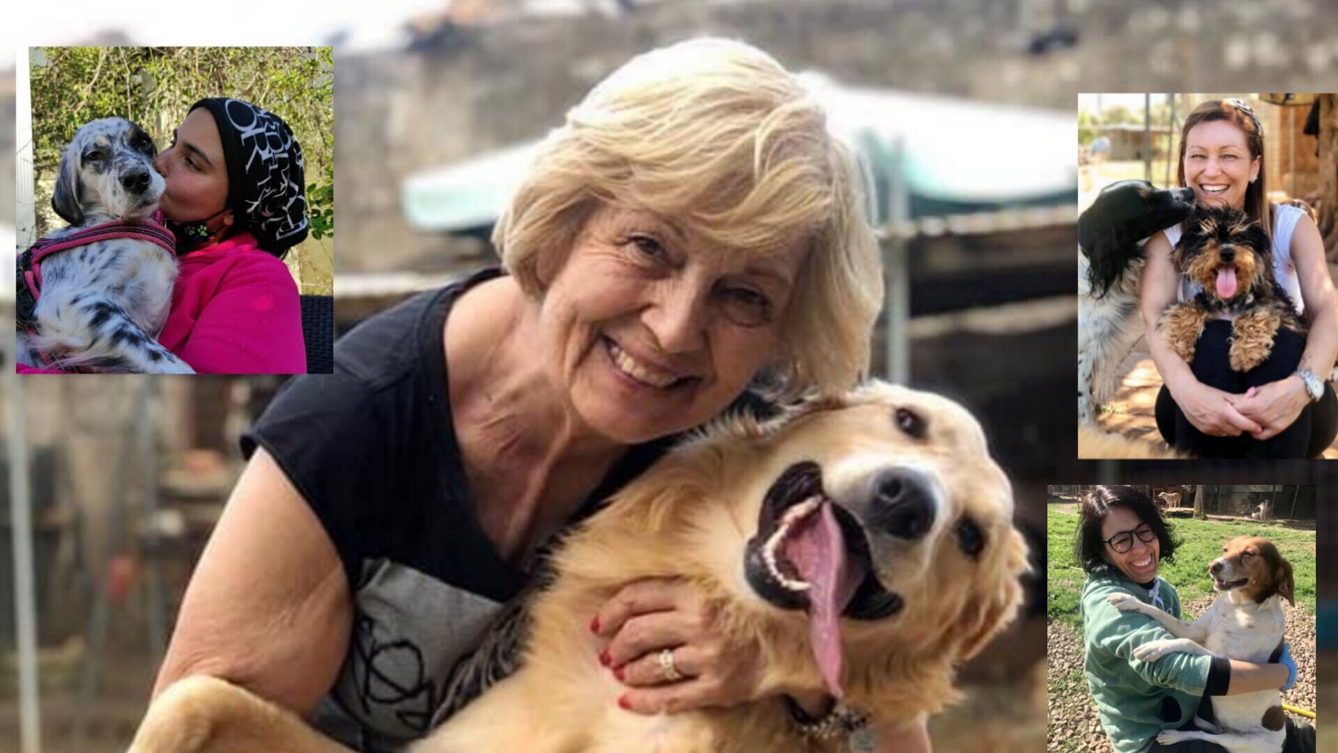 Caterina Uccheddu, una vita passata ad amare i cani: “Ora aiutateci anche voi a salvare tanti di loro”