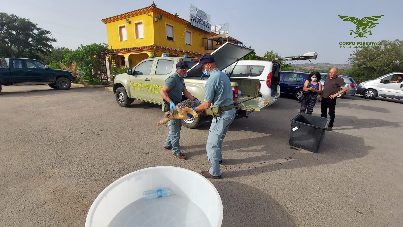 Siniscola, recuperato un esemplare di Caretta caretta