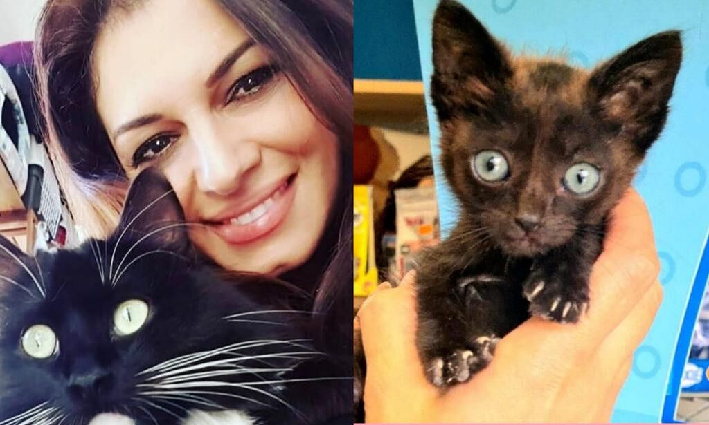 Radio Zampetta Sarda: Micra, 350 grammi di dolcezza, cerca una famiglia