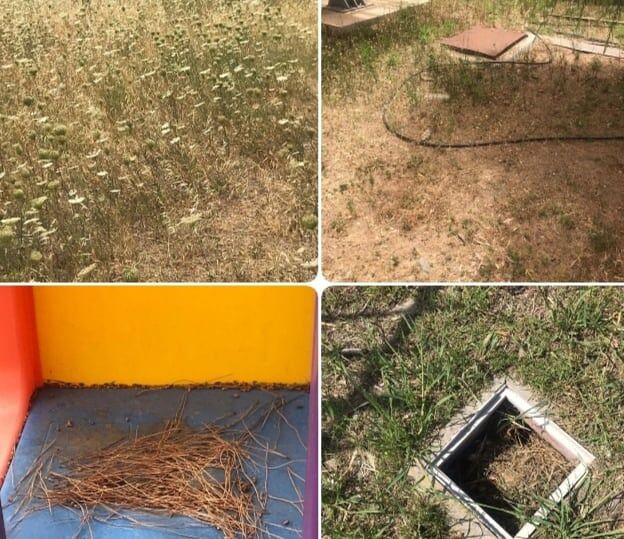 Quartu, l’sos delle mamme: “Prato secco con zecche e caldo insopportabile nella scuola di Flumini”