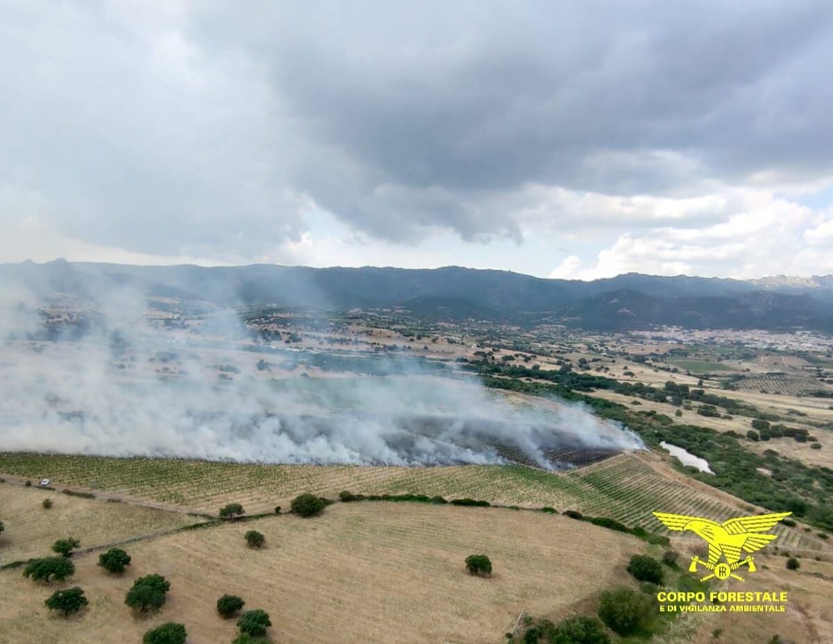 Oggi 10 incendi in Sardegna. Paura a Sinnai: fiamme accanto alla pineta