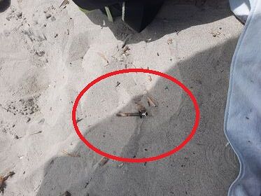 Sos siringhe al Poetto: “Una è spuntata fuori dalla sabbia a Marina Piccola, spiaggia super affollata”