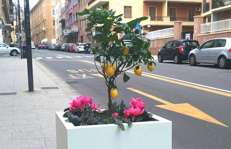 Cagliari, balordo distrugge le piantine in via Alghero. Truzzu: “Pagherà con lavori socialmente utili”