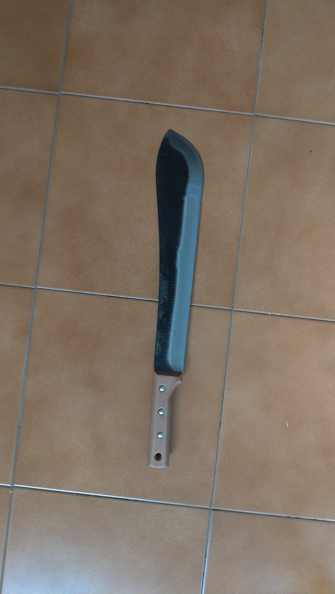 Al Poetto con un machete: 27enne selargino denunciato a Quartu