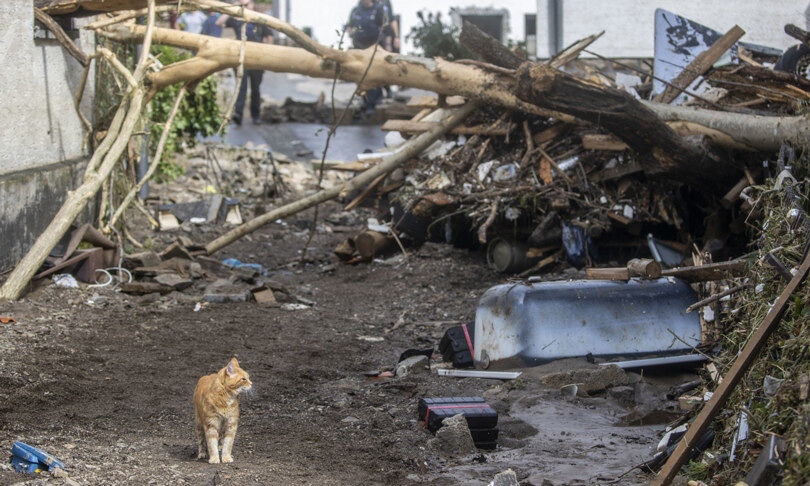 Germania choc: 81 morti e centinaia di dispersi per le inondazioni