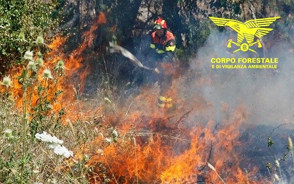 Ancora fiamme nell’Isola: quattordici incendi oggi oltraggiano la Sardegna