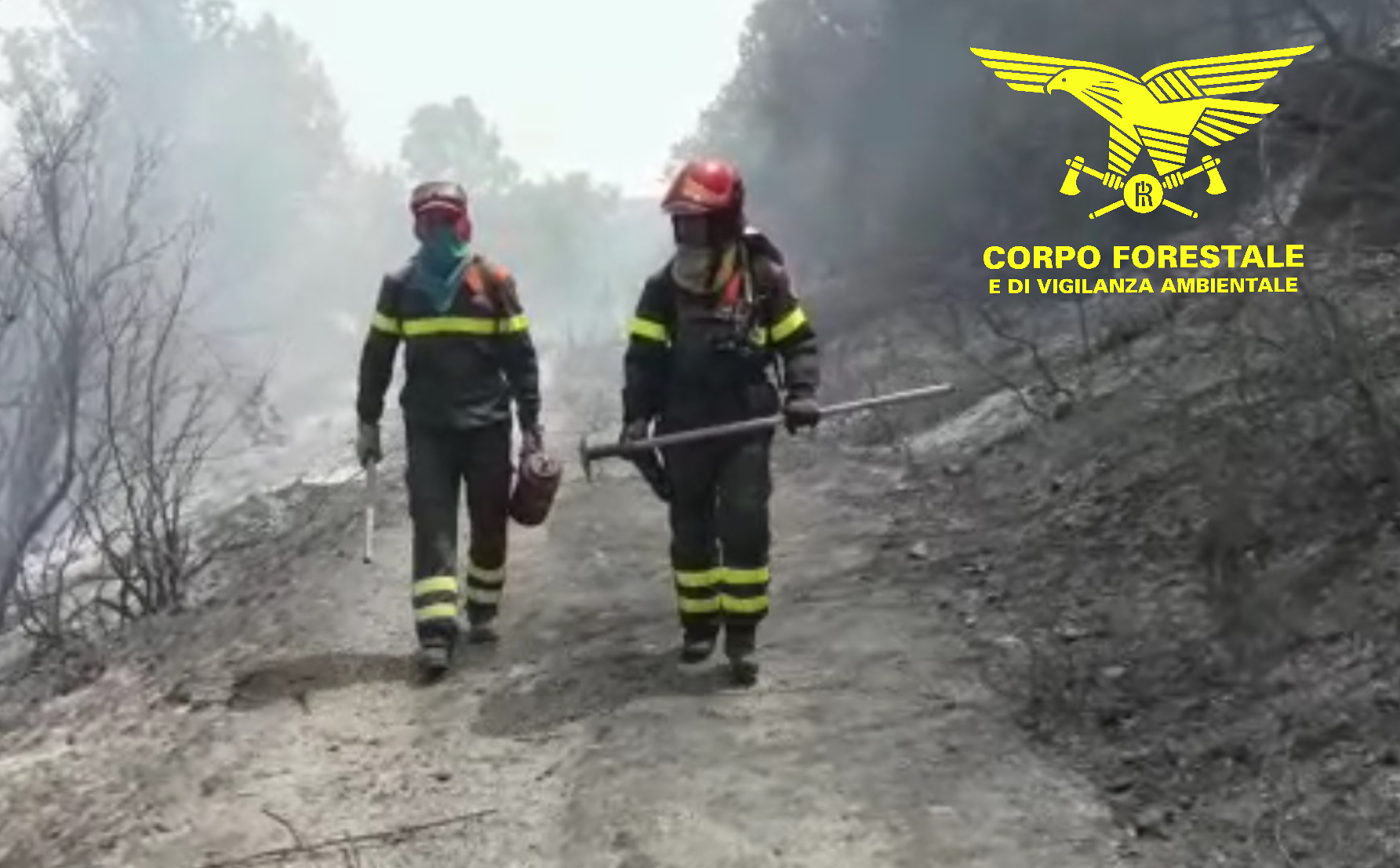 Incendi nell’Oristanese, sul campo gli elicotteri della Forestale e 4 canadair