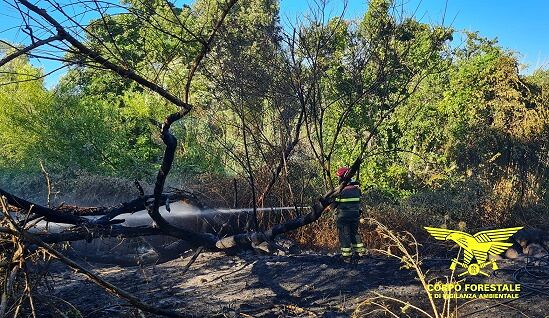 Incendi in Sardegna, è un bollettino di guerra: oggi altri 17 roghi