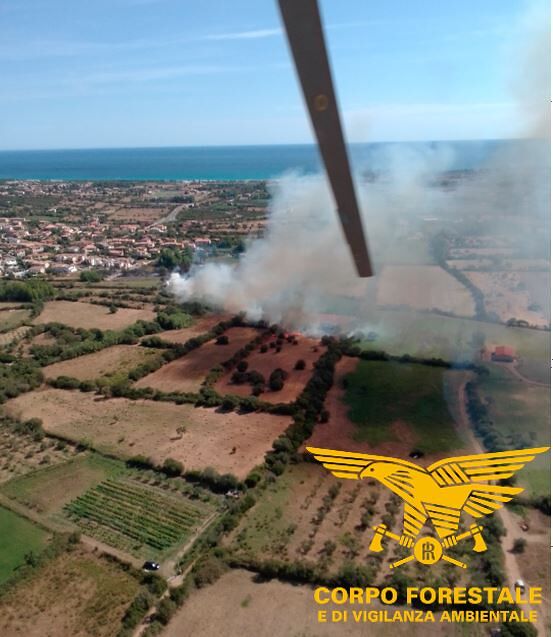 Vasto incendio nelle campagne di Budoni, la forestale sul posto con 2 elicotteri
