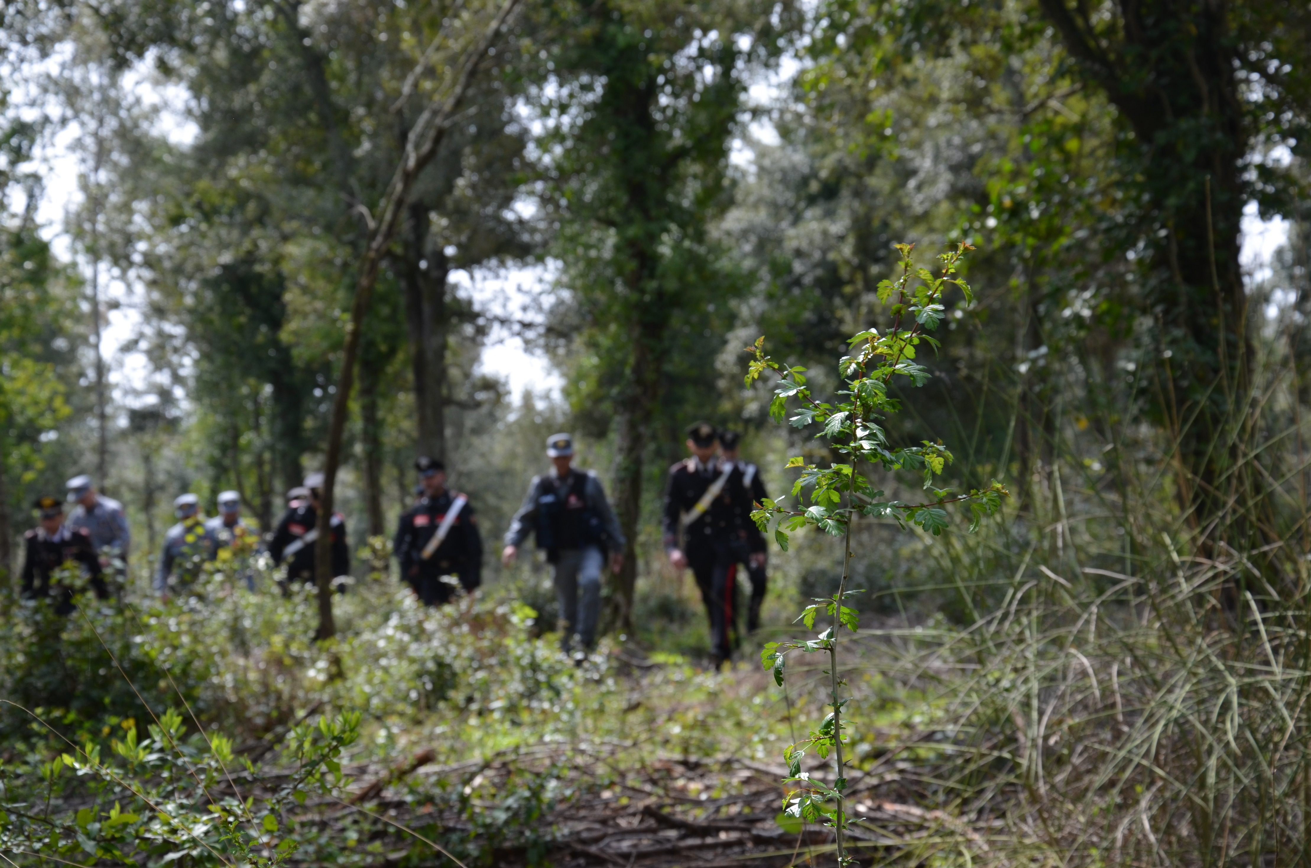 Si perde tra la vegetazione a Muravera, 60enne rintracciato e soccorso per miracolo dai carabinieri