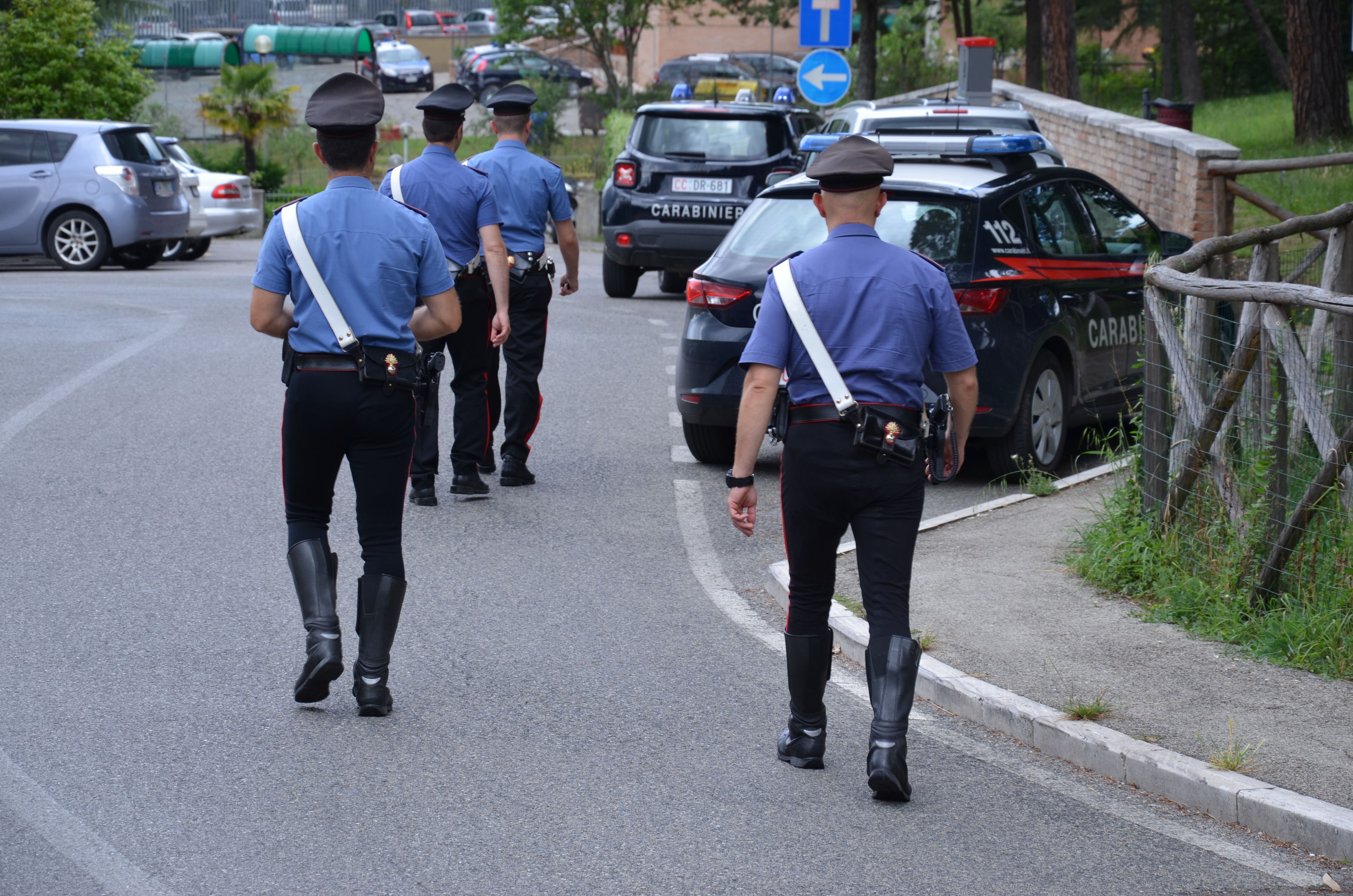 Coltiva canapa indiana nel vialetto di casa: denunciato 58enne di Perdaxius