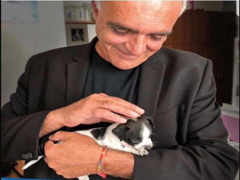 “A Quartu arrivano le oasi per cani e gatti, così difendiamo anche tutti i randagi”